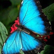 Yvette Bettis's photo