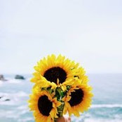 Laura K's photo