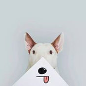 Photo de Stefan Stef