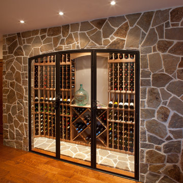 Family Entertainment Basement