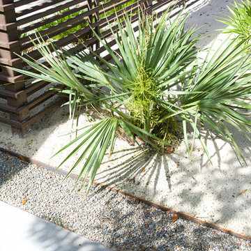 Shopa Mid-Century