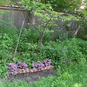 DIY Landscape - Woodland or Shade Gardening