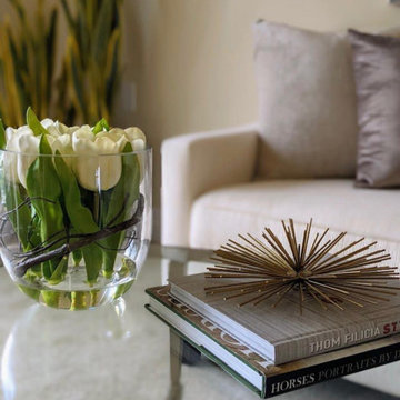 Model Suite - Senior Lifestyle Community
