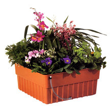 Hydroponic set