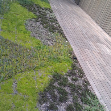 Clyfford Still Museum
