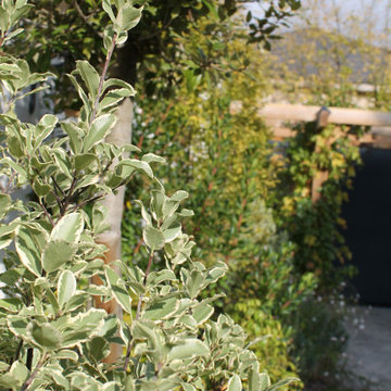 Jardin Colombiens Méditerranéen (Colombes - 92)