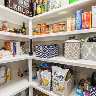 Photo of a mid-sized contemporary kitchen pantry in Tampa with white cabinets.
