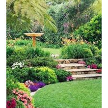 Outdoor: Landscape & Outdoor Decor