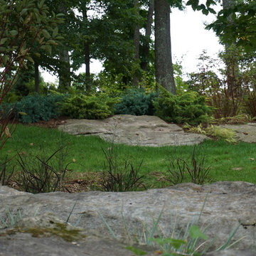 Natural Landscape