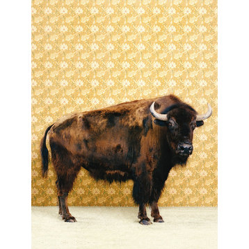 "Bison on Yellow" Canvas Wall Art by Catherine Ledner, 18"x24"