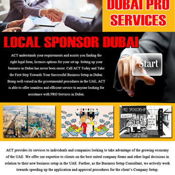 Pro Services Dubai