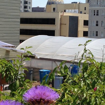 Urban Community Gardening