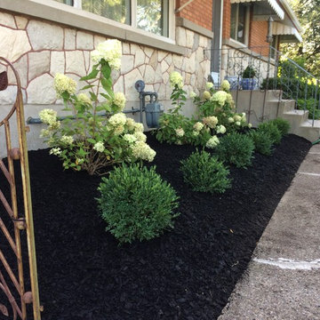 Foundation planting 2017