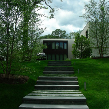 Contemporary Garden