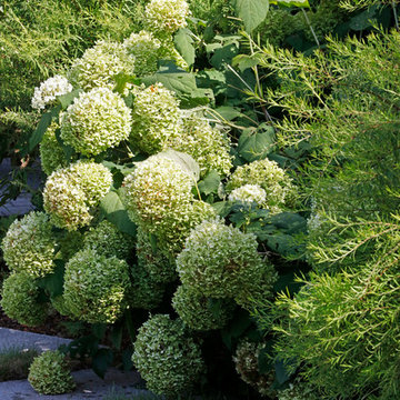 Privatgarten mit Teich