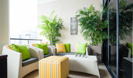 5 Best Plants to Grow in a Balcony