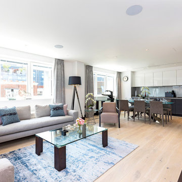 A Pimlico apartment