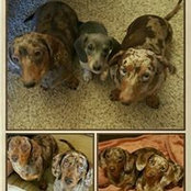 Susan Ligon's photo