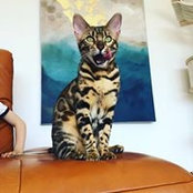 Anna Kramlich's photo