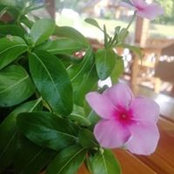 Erika Helbich's photo