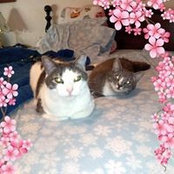 Maureen Duzs's photo