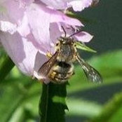 Helen Chapman's photo