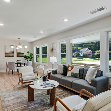 Modern Open Living Room Filled with Natural Light