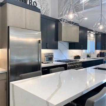 Mississauga Contemporary