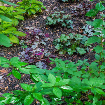 Modern Woodland