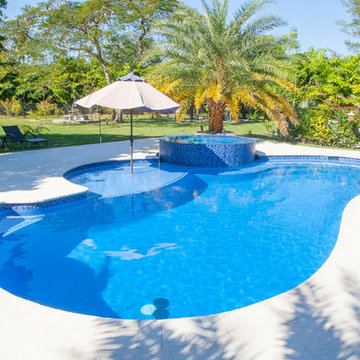 New Swimming Pool & Spa With Sunshelf in Parkland, Florida