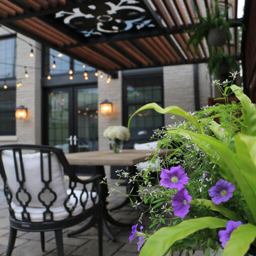 Urban Cottage Backyard