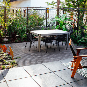 Tropical Courtyard