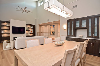 Large minimalist open concept porcelain tile and brown floor family room photo in Tampa with beige walls, a ribbon fireplace, a plaster fireplace and a media wall