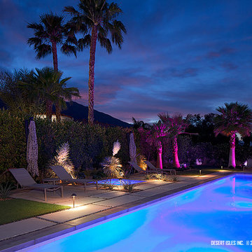 Palm Springs Life