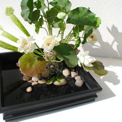 Modern Asian Ikebana Feng Shui - Plants