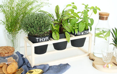 DIY : Une petite jardinière en bois pour vos plantes aromatiques