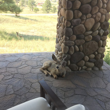 PARKER SANCTUARY