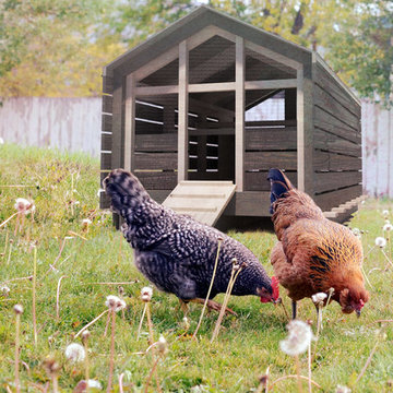 CRAFT-Designed Home Chicken Coops