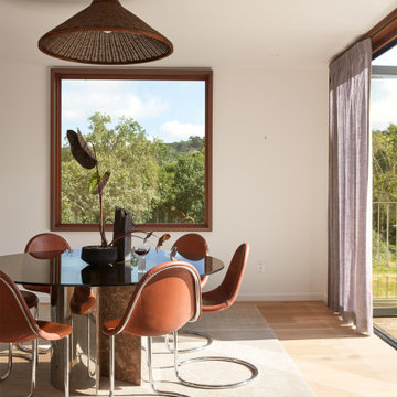 Healdsburg House