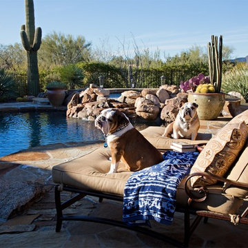 Everyday Escape - Phoenix Home & Garden
