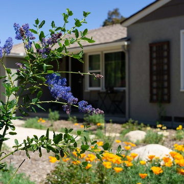 Front Yard Makeover