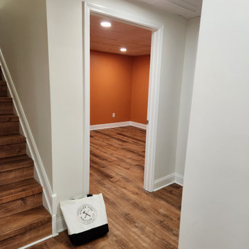 Basement Remodel