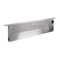 Dacor Epicure 48" Raised Vent, Stainless Steel | ERV48 - Space Heaters