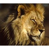 John Kachimba's photo