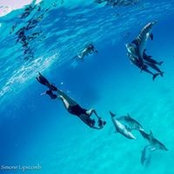 Susan Scheer's photo