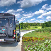Vip Southern Tours Wine Tours's photo
