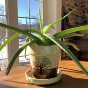 Stephanie Siegel's photo
