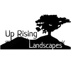 Uprising Landscapes