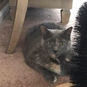 Kathleen Smyth's photo
