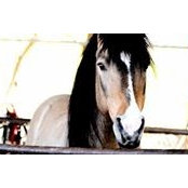 Pam Blaha's photo